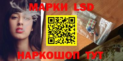 спиды Славгород