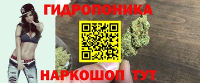 спиды Славгород