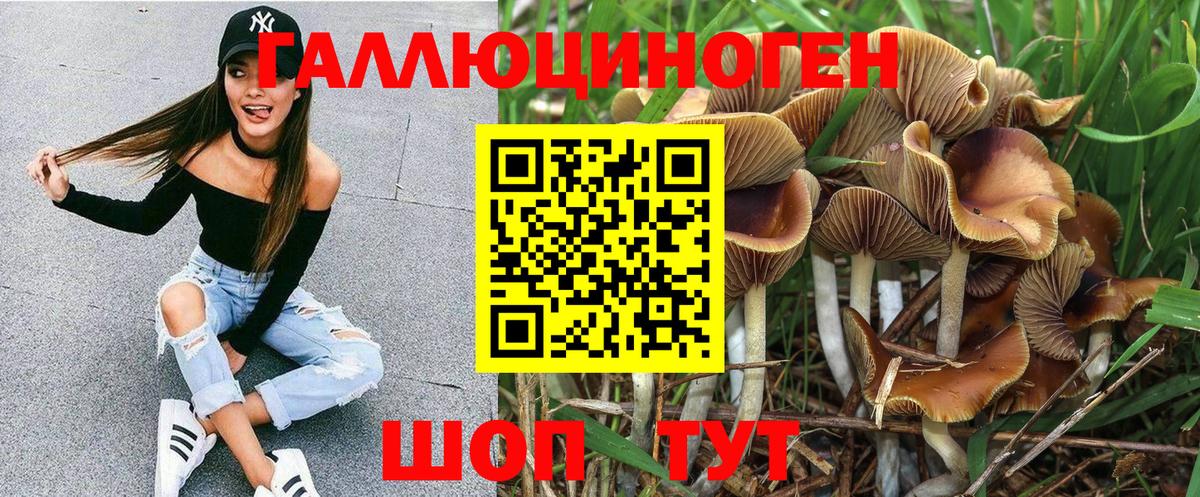 Партизанск  Галлюциногенные грибы Cubensis  где найти наркотики  Вход с VPN 